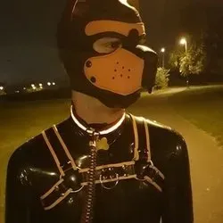 OnlyFans cuenta pup_qu1nn avatar 1