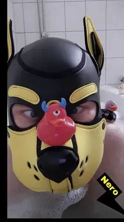 OnlyFans cuenta puppynero avatar 1