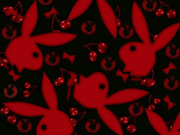 OnlyFans cuenta your_red_bunny header 2