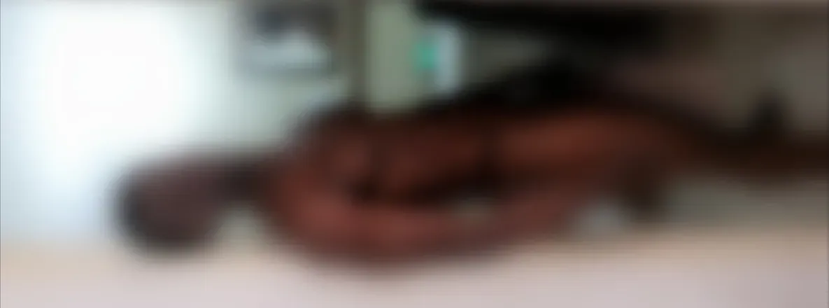 OnlyFans cuenta negro_101 header 2