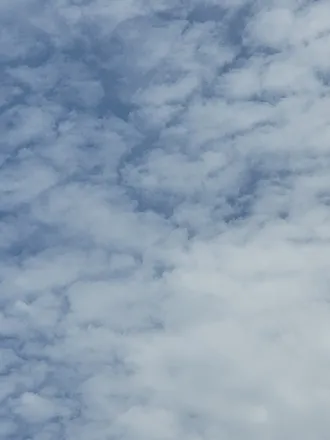 OnlyFans cuenta txlibertine header 2
