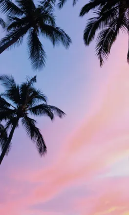 OnlyFans cuenta kandiekaye header 2