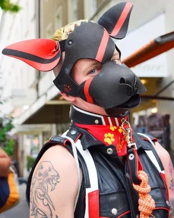 OnlyFans cuenta puppy_aurium avatar 1