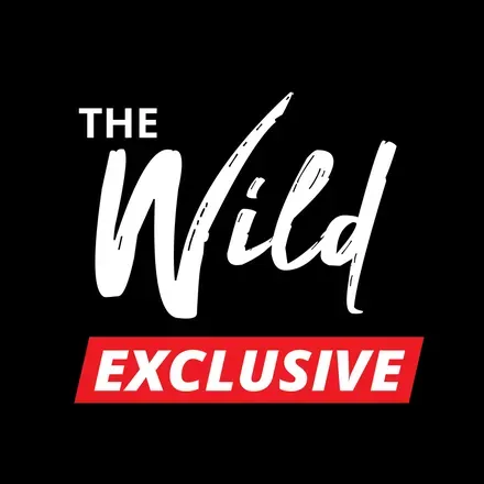OnlyFans cuenta thewildexclusive avatar 1