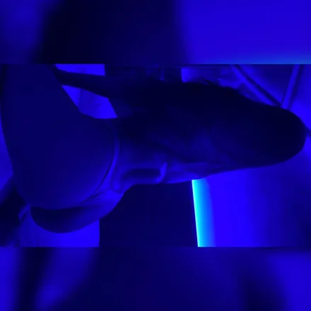OnlyFans cuenta laurag22 header 2