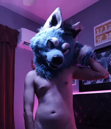 OnlyFans account  bluedaddywolf avatar 1