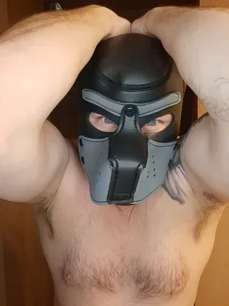 OnlyFans cuenta pup3737 avatar 1