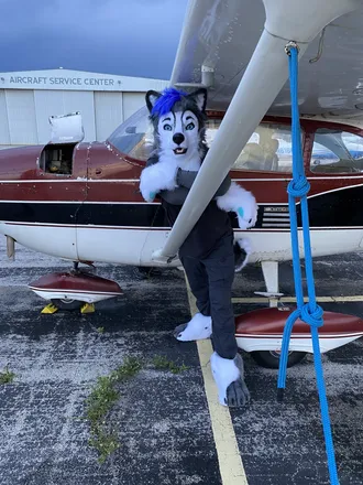 OnlyFans cuenta gravitystormhusky header 2