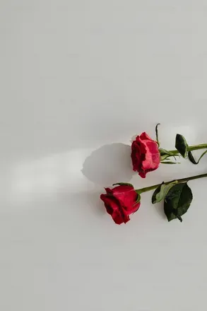 OnlyFans cuenta aliceardelean header 2