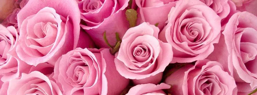 OnlyFans cuenta cicikathleen header 2