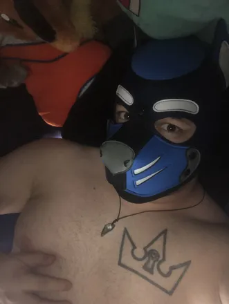 OnlyFans cuenta puckthepup01 header 2