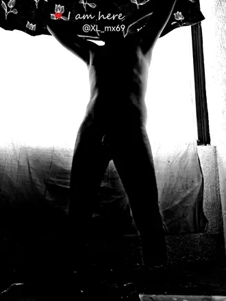 OnlyFans cuenta xl-mx avatar 1