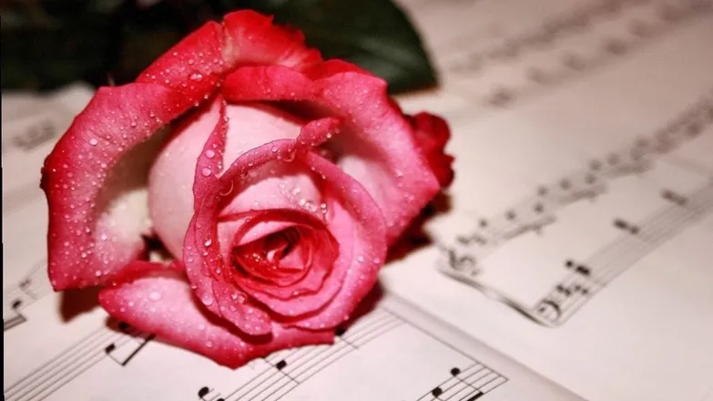 OnlyFans cuenta rose_marina header 2
