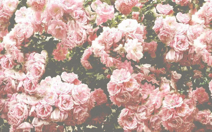 OnlyFans cuenta ouidbecute header 2