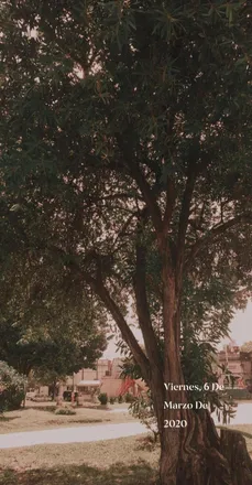 OnlyFans cuenta laimaginacionvuela header 2