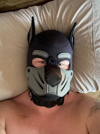 OnlyFans cuenta pupbjorn864 avatar 1