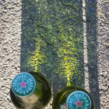OnlyFans account  chiefblunts header 2