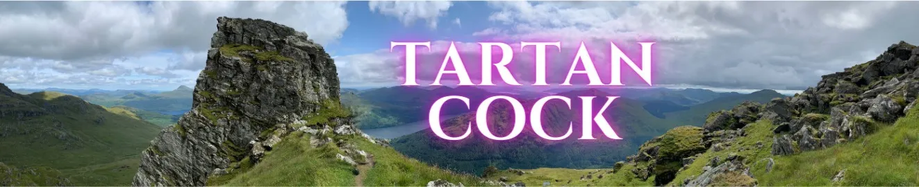 OnlyFans cuenta tartancock header 2