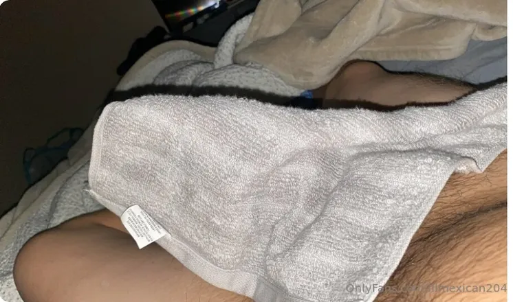 OnlyFans cuenta lilmexican2044 header 2