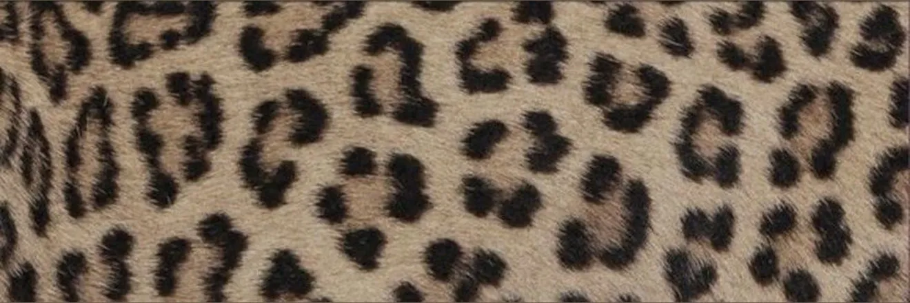 OnlyFans cuenta social0utcast header 2