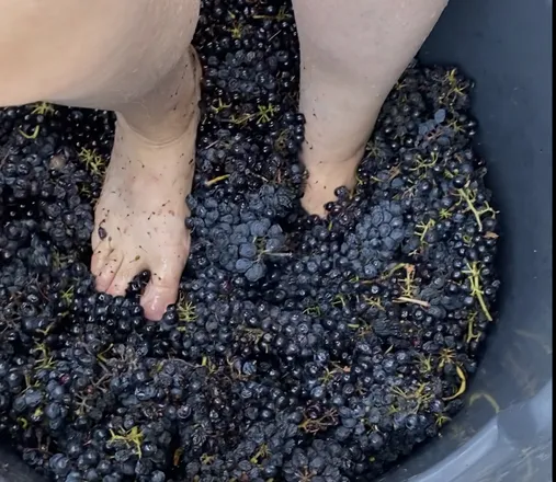 OnlyFans account  thewinemakersfeet header 2