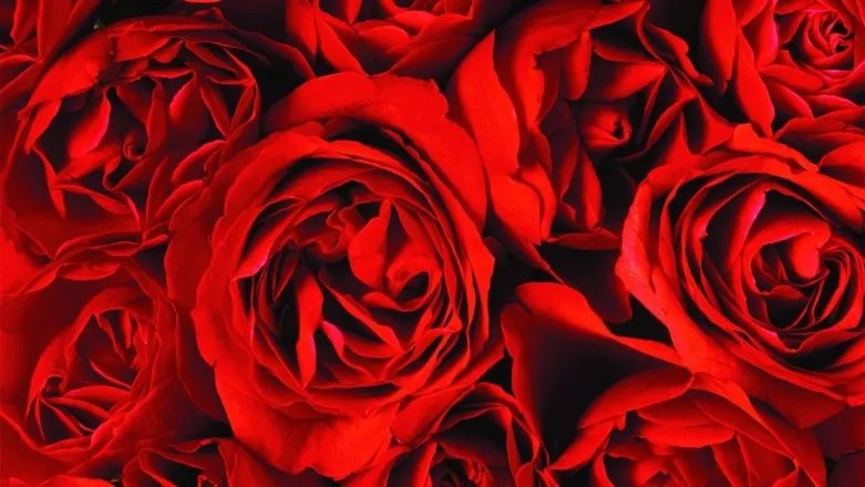 OnlyFans cuenta lovelydarknessx header 2