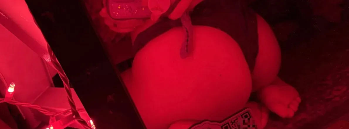 OnlyFans account  gemitude header 2