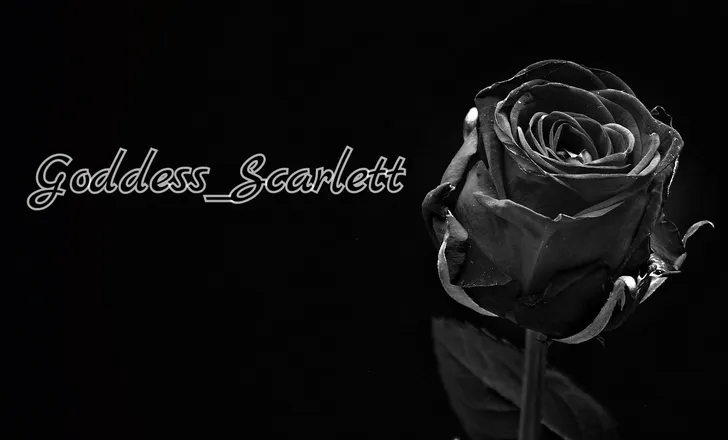 OnlyFans cuenta herrin_scarlett header 2
