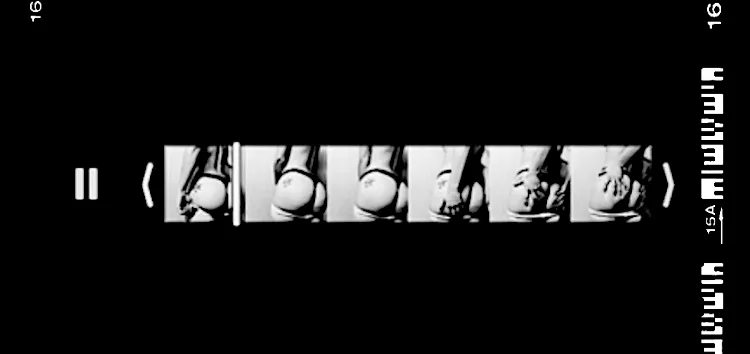 OnlyFans cuenta ltlsunflower header 2