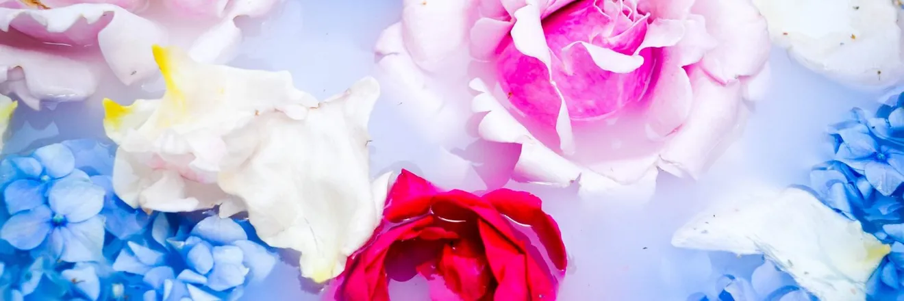 OnlyFans cuenta alltiedupxox header 2