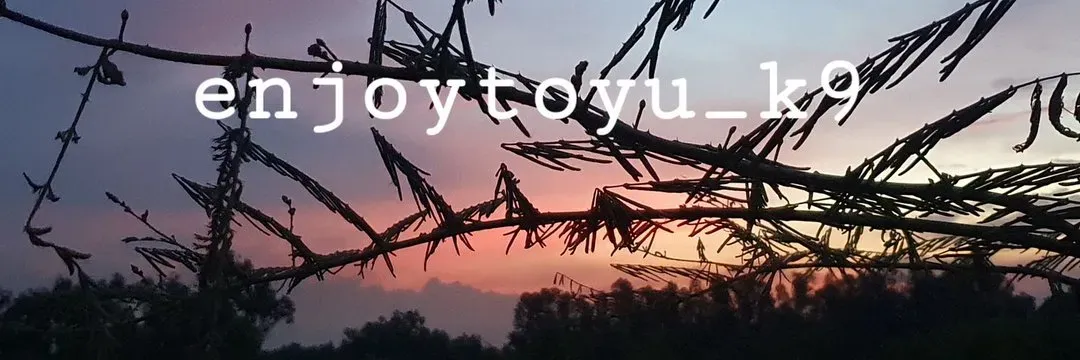 OnlyFans cuenta enjoytooyu_k9 header 2