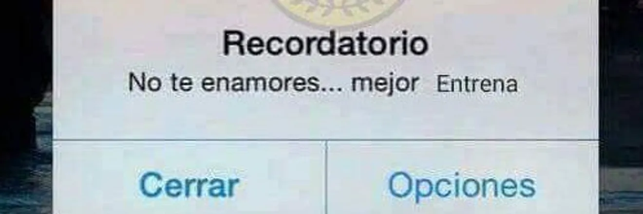 OnlyFans cuenta ela_lober header 2