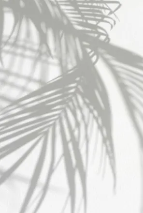 OnlyFans cuenta rabbit.girl header 2