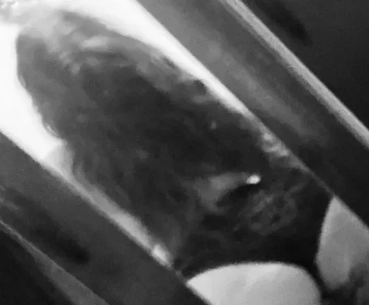 OnlyFans cuenta brightbarmel avatar 1