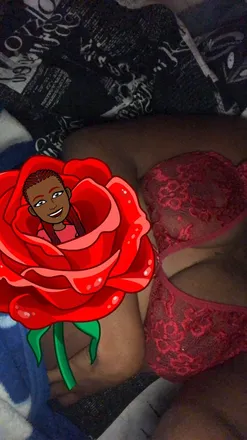 OnlyFans cuenta ladynasty1 avatar 1