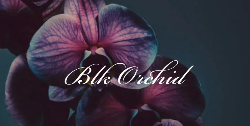 OnlyFans cuenta blk.orchid header 2