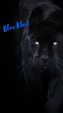 OnlyFans account  blackhat404 avatar 1