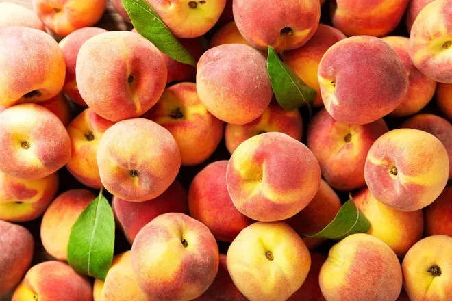 OnlyFans cuenta magicofficial header 2