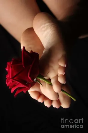 OnlyFans cuenta u59598857 header 2