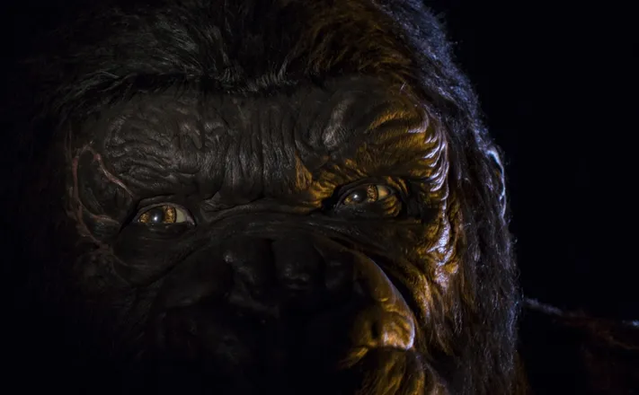 OnlyFans cuenta nakedgorilla header 2