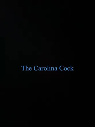 OnlyFans cuenta thecarolinacock header 2