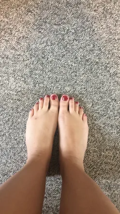 OnlyFans cuenta thelittlepiggymarket avatar 1