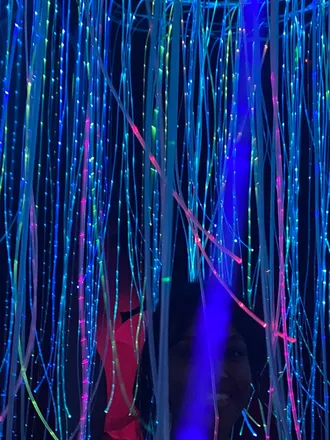 OnlyFans account  alicesinwonderland header 2