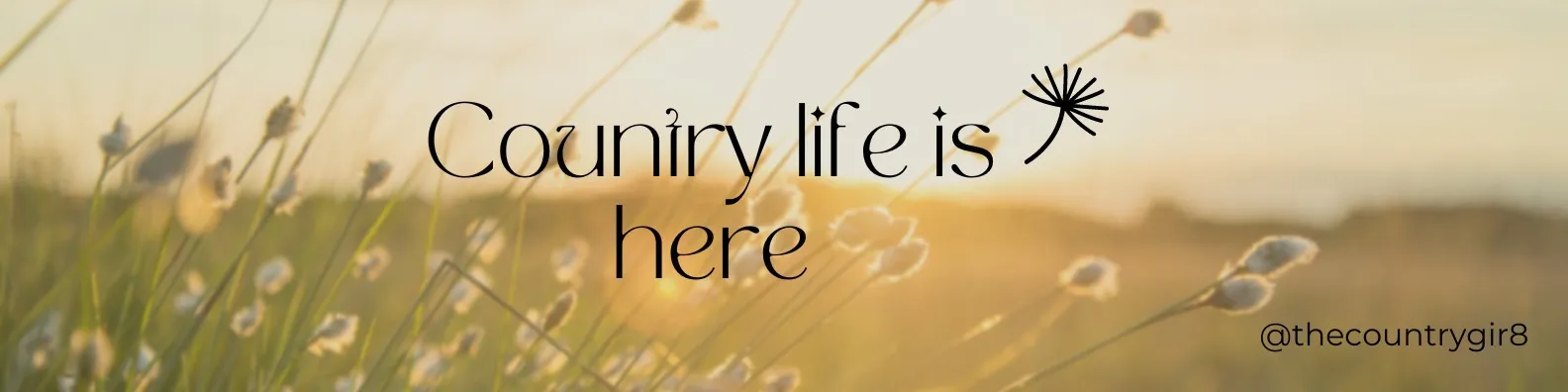 OnlyFans account  thecountrygirl header 2