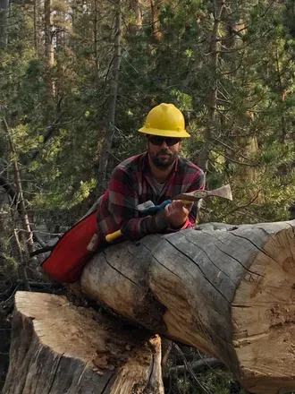 OnlyFans account  treesandbeards avatar 1