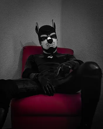 OnlyFans account  canofcks header 2