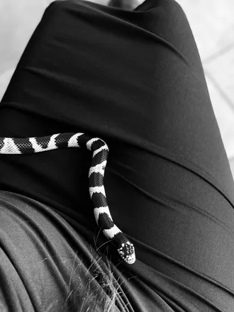 OnlyFans account  lovlesss header 2