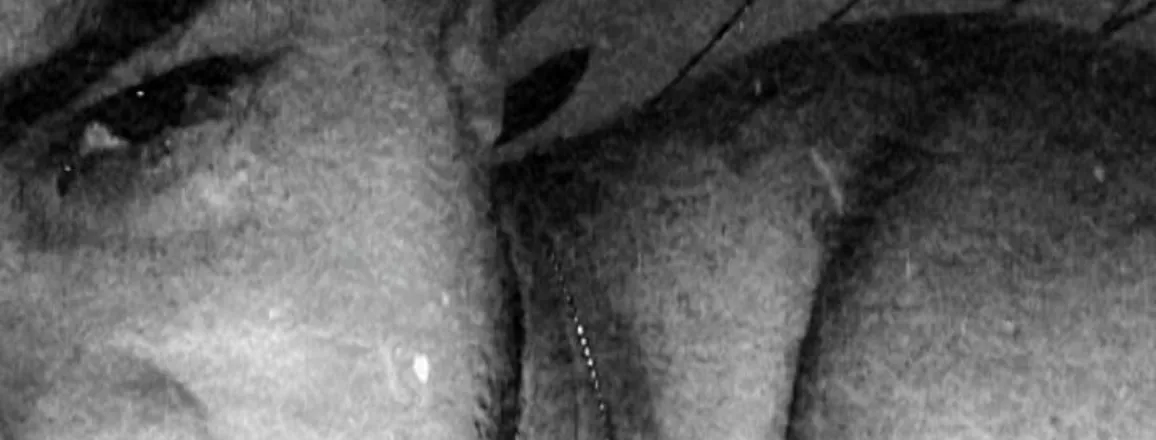 OnlyFans cuenta leytor26 header 2