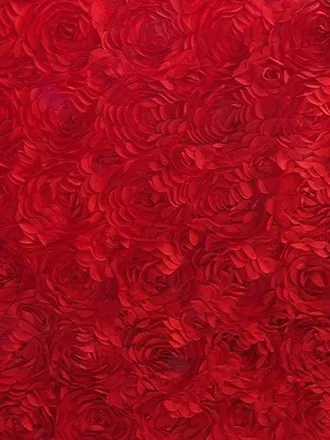 OnlyFans cuenta andreazapata261 header 2