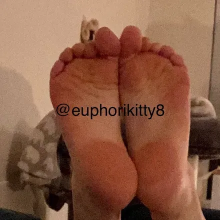 OnlyFans cuenta euphorikitty8 avatar 1